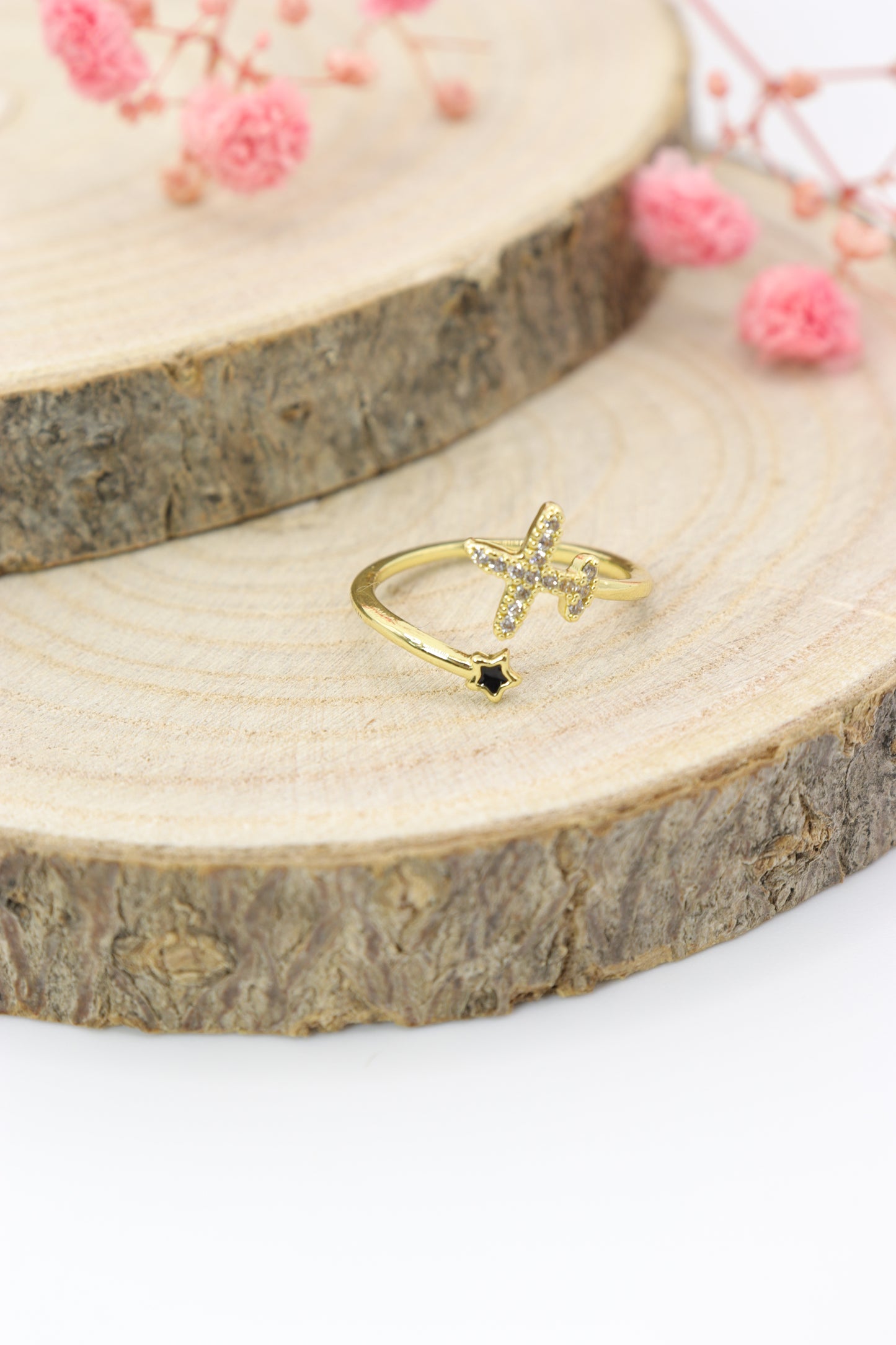 Anillo Avión